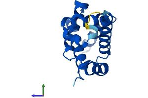 AlphaFold protein structure predicition of Human Recombinant HBM Protein, UniprotID Q6B0K9 (Hemoglobin, mu Protein (AA 1-141) (His tag))