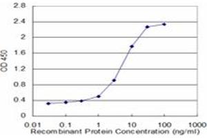 Detection limit for recombinant GST tagged UNC13D is approximately 1ng/ml as a capture antibody. (UNC13D Antikörper  (AA 2-100))