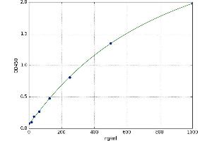 Cystathionine-beta-Synthase (CBS) ELISA Kit