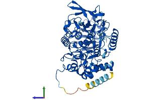 AlphaFold protein structure predicition of Human Recombinant FMO5 Protein, UniprotID P49326