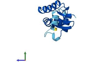 Protein Structure (PS) image for SH3 Domain Binding Glutamic Acid-Rich Protein Like (SH3BGRL) (AA 1-114) protein (His tag) (ABIN7561606)