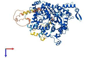 AMPD3 Protein (AA 1-766) (His tag)