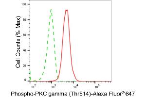 Flow cytometric analysis of Phospho-PKC gamma (Thr514) expression in C2C12 cells using Phospho-PKC gamma (Thr514) antibody (ABIN7799998), 1:2,000).