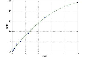 A typical standard curve
