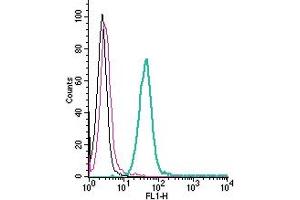 Cell surface detection of PAFR by direct flow cytometry in live intact mouse  microglia cells: + Rabbit IgG isotype control-FITC. (PTAFR Antikörper  (Extracellular) (FITC))