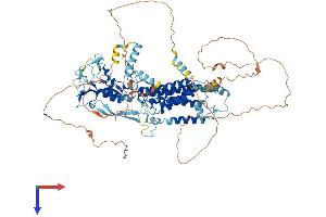 RHBDF1 Protein (AA 1-855) (His tag)