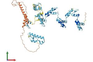 AlphaFold protein structure predicition of Human Recombinant ZNF675 Protein, UniprotID Q8TD23