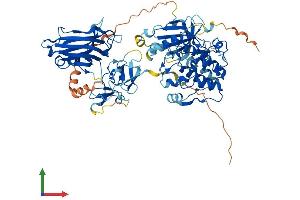 Protein Structure (PS) image for Protein Kinase C, gamma (PRKCG) (AA 1-697) protein (His tag) (ABIN7554315)