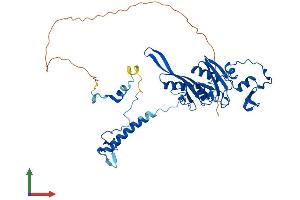 AlphaFold protein structure predicition of Human Recombinant MRPS5 Protein, UniprotID P82675