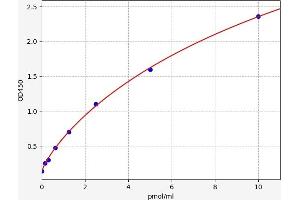 COL28A1 ELISA Kit