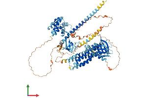 Protein Structure (PS) image for rho Guanine Nucleotide Exchange Factor (GEF) 6 (ARHGEF6) (AA 1-771) protein (His tag) (ABIN7559572)