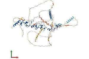 Protein Structure (PS) image for Lipoma-preferred partner (LPP) (AA 1-612) protein (His tag) (ABIN7554453)