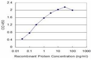 Detection limit for recombinant GST tagged NBR1 is approximately 0. (NBR1 Antikörper  (AA 2-96))