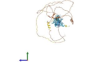 Protein Structure (PS) image for Ajuba LIM Protein (AJUBA) (AA 1-538) protein (His tag) (ABIN7552078)