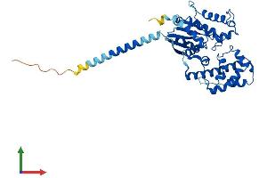 Protein Structure (PS) image for Guanine Nucleotide Binding Protein (G Protein) alpha 12 (GNA12) (AA 1-379) protein (His tag) (ABIN7563025)