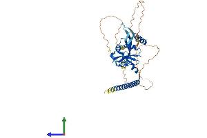 Protein Structure (PS) image for Ras Association Domain-Containing Protein 6 (RASSF6) (AA 1-369) protein (His tag) (ABIN7551184)