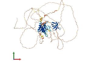 Protein Structure (PS) image for Mitogen-Activated Protein Kinase 8 Interacting Protein 1 (MAPK8IP1) (AA 1-707) protein (His tag) (ABIN7565243)