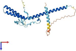 MED7 Protein (AA 1-233) (His tag)