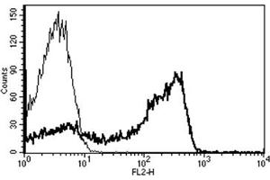 Flow Cytometry (FACS) image for anti-CD2 (CD2) antibody (Biotin) (ABIN1106020)