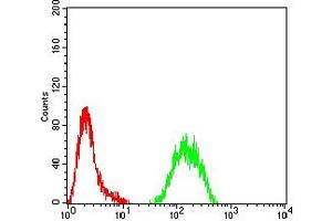 Flow cytometric analysis of Hela cells using KMT2C mouse mAb (green) and negative control (red). (MLL3 Antikörper  (AA 1-205))