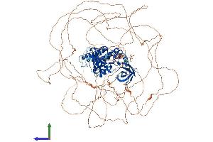Protein Structure (PS) image for Homeodomain Interacting Protein Kinase 1 (HIPK1) (AA 1-1210) protein (His tag) (ABIN7562687)