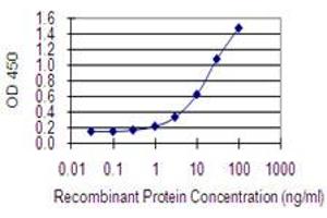 Detection limit for recombinant GST tagged COX4NB is 0. (COX4NB Antikörper  (AA 113-210))