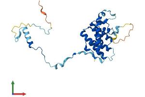 Protein Structure (PS) image for Gem (Nuclear Organelle) Associated Protein 2 (GEMIN2) (AA 1-269) protein (His tag) (ABIN7560565)