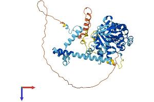 KATNAL2 Protein (AA 1-539) (His tag)