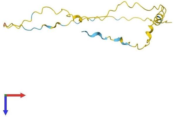 VCX2 Protein (AA 1-139) (His tag)