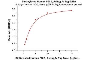 ELISA image for Fibrinogen-Like 1 (FGL1) (AA 23-312) (Active) protein (AVI tag,Fc Tag,Biotin) (ABIN6923181)