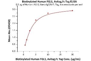 Immobilized Human LAG-3, Llama IgG2b Fc Tag, low endotoxin (ABIN5954961,ABIN6253552) at 5 μg/mL (100 μL/well) can bind Biotinylated Human FGL1, Avitag,Fc Tag (ABIN6923181,ABIN6938831) with a linear range of 0.