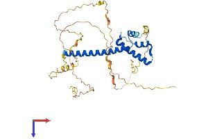 NEUROD6 Protein (AA 1-337) (His tag)