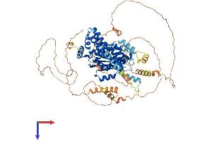 PNPLA8 Protein (AA 1-776) (His tag)