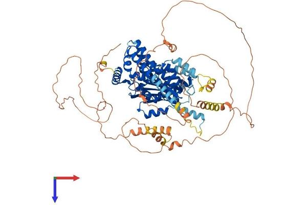PNPLA8 Protein (AA 1-776) (His tag)