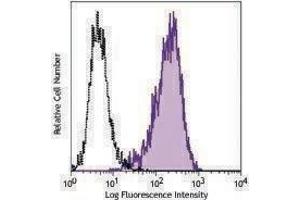 Flow Cytometry (FACS) image for anti-Tumor Necrosis Factor Receptor Superfamily, Member 17 (TNFRSF17) antibody (ABIN2664465)