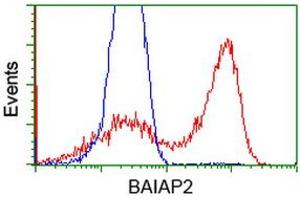 Flow Cytometry (FACS) image for anti-BAI1-Associated Protein 2 (BAIAP2) antibody (ABIN1496805) (BAIAP2 Antikörper)