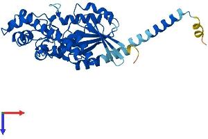 GNAQ Protein (AA 1-359) (His tag)