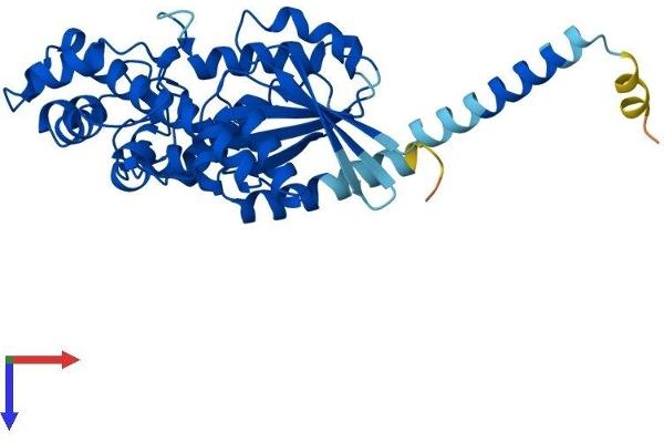 GNAQ Protein (AA 1-359) (His tag)