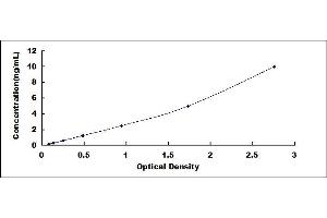 Typical standard curve (HINT1 ELISA Kit)