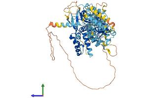 AlphaFold protein structure predicition of Human Recombinant NLRP10 Protein, UniprotID Q86W26