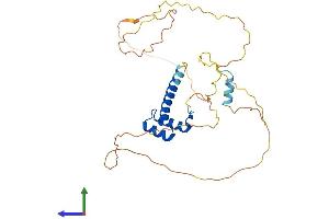 Protein Structure (PS) image for Homeobox A11 (HOXA11) (AA 1-313) protein (His tag) (ABIN7563110)