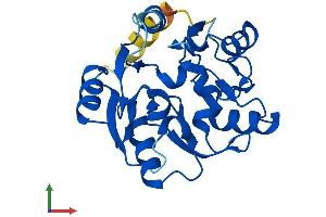 Protein Structure (PS) image for Eukaryotic Translation Initiation Factor 6 (EIF6) (AA 1-245) protein (His tag) (ABIN7562488)