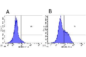 Flow-cytometry using anti-CD52 antibody Campath-1H   Rhesus monkey lymphocytes were stained with an isotype control (panel A) or the rabbit-chimeric version of Campath-1H (panel B) at a concentration of 1 µg/ml for 30 mins at RT. (Rekombinanter CD52 Antikörper)