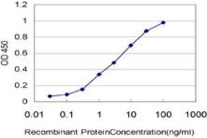 Detection limit for recombinant GST tagged ARAF is approximately 0. (ARAF Antikörper  (AA 151-250))