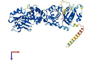RHOT2 Protein (AA 1-618) (His tag)