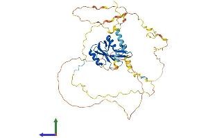Protein Structure (PS) image for B-Cell Linker (BLNK) (AA 1-456) protein (His tag) (ABIN7552810)