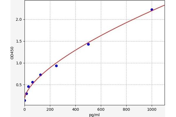 AKT2 ELISA Kit