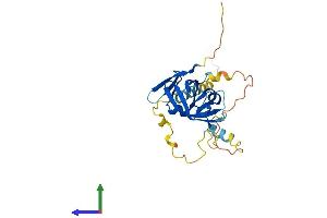 AlphaFold protein structure predicition of Human Recombinant NRIP3 Protein, UniprotID Q9NQ35