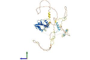 Protein Structure (PS) image for Src Homology 2 Domain Containing Adaptor Protein B (SHB) (AA 1-503) protein (His tag) (ABIN7558041)