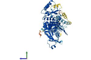 Protein Structure (PS) image for Asparaginase Homolog (ASPG) (AA 1-564) protein (His tag) (ABIN7561848)